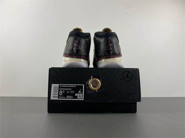 Titan x Air Jordan 23 CZ6222-001
