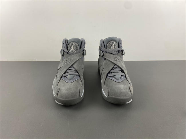 Jordan 8 Retro Cool Grey 305381 014