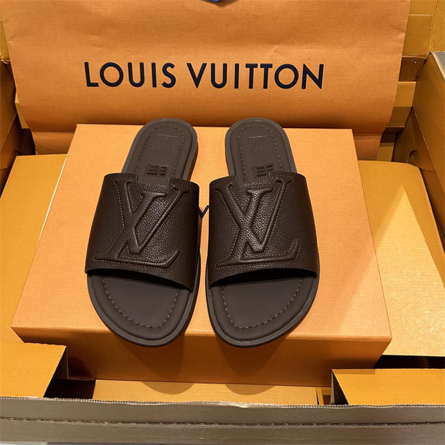 LV1S 076