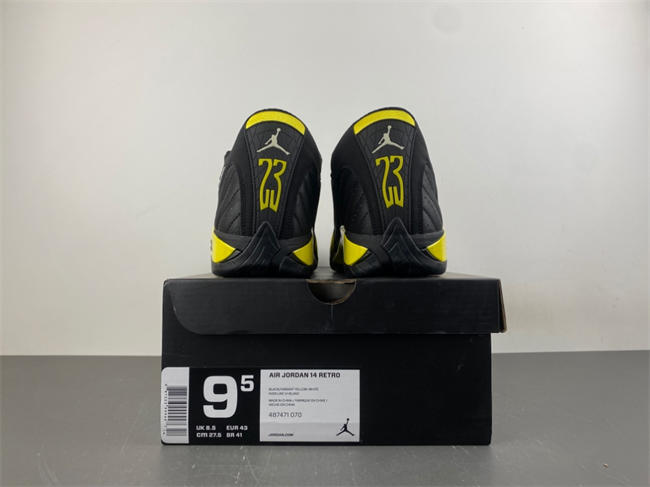 Jordan 14 Retro Thunder 487471-070